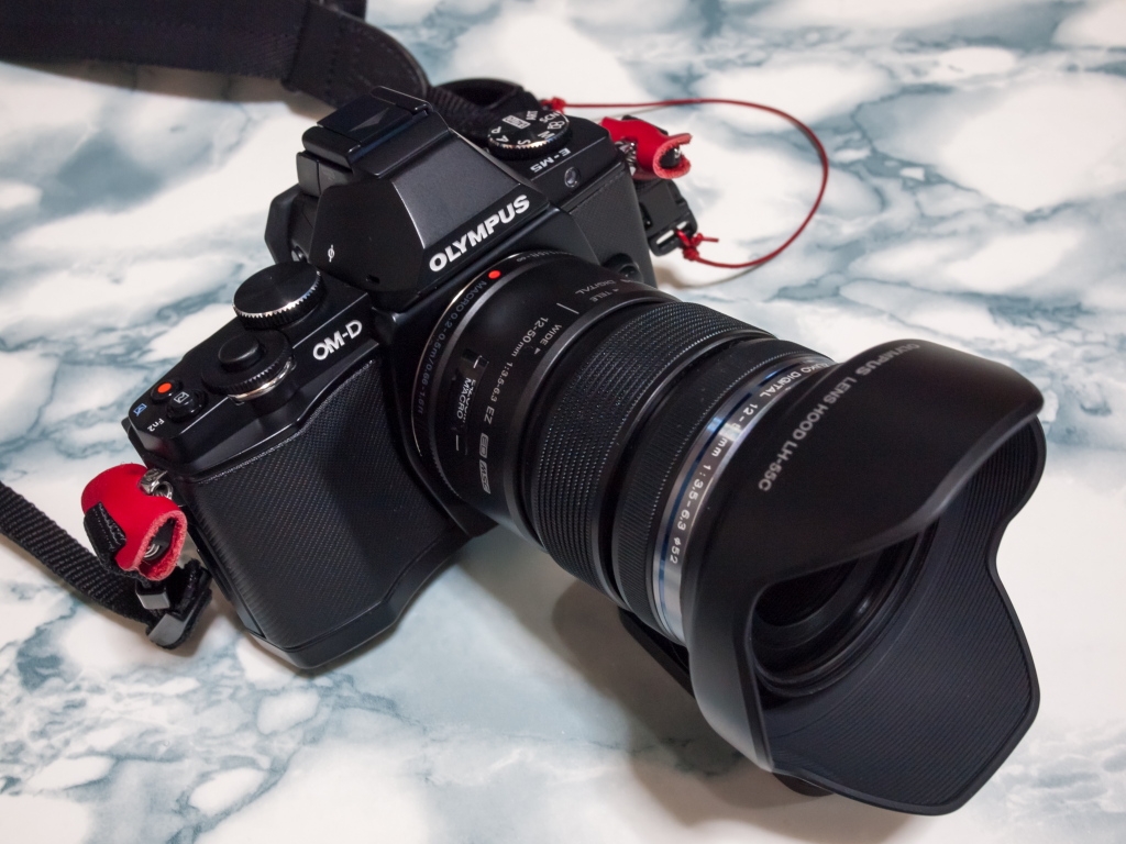 Re: Wide angle zooms 12-...: Micro Four Thirds Talk Forum: Digital