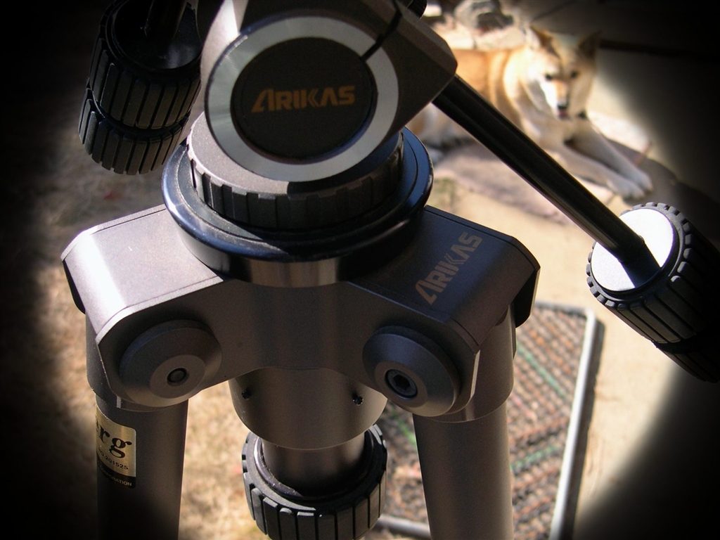 価格.com - 『ARUKAS Berg Type1』 一眼レフカメラ(フィルム) アムド