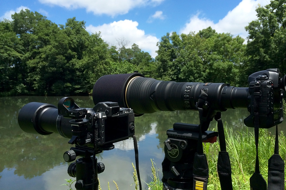 価格 Com メインのd4s Af S 800mmf5 6e Vrとサブv2 1 Nikkor Vr 70 300mm F 4 5 5 6 ニコン 1 Nikkor Vr 70 300mm F 4 5 5 6 ブラック 旧サンニッパさん のクチコミ掲示板投稿画像 写真 1 Nikkor Vr 70 300で撮影した写真募集