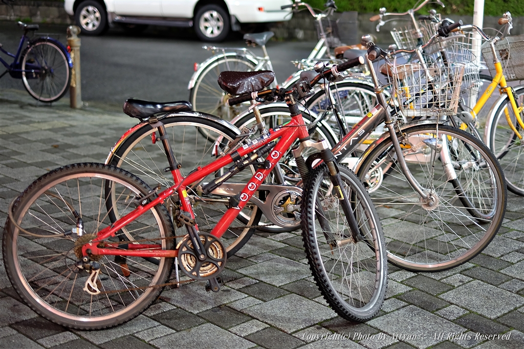 自転車 駐車