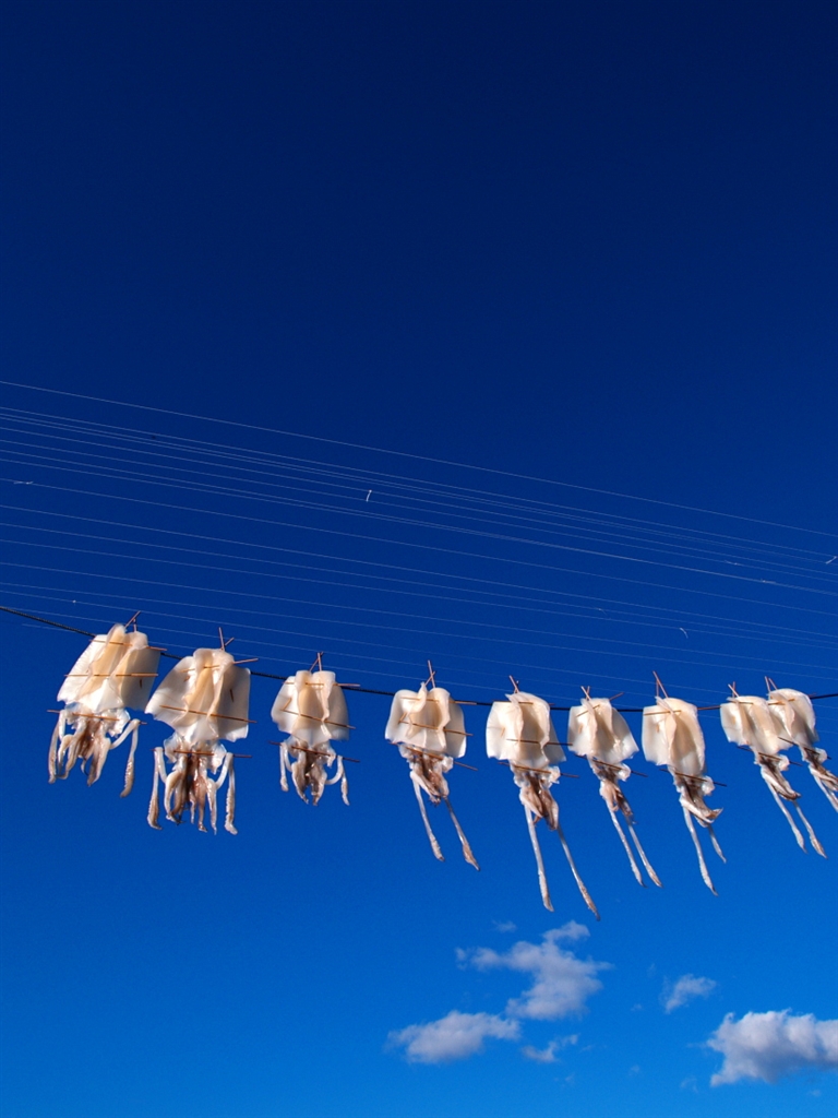 レンズ ゼロ レンズ ゼロ