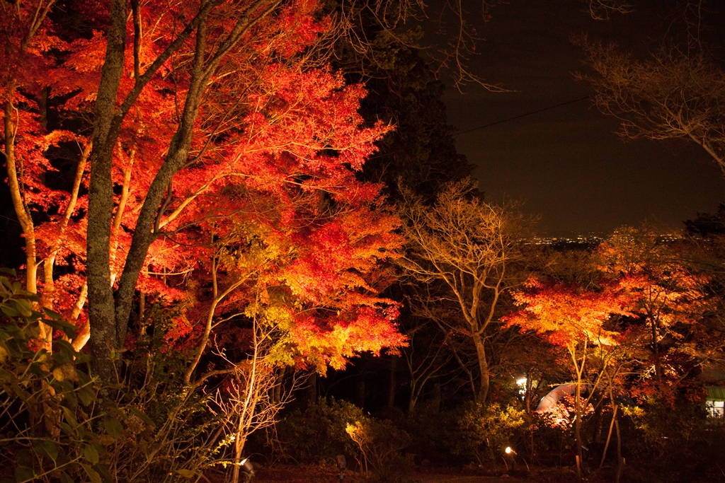 価格 Com 筑波山紅葉ライトアップ3 Canon Ef S24mm F2 8 Stm Hiroyanisさん のクチコミ掲示板投稿画像 写真 公園に行ってバシャバシャやりました 998