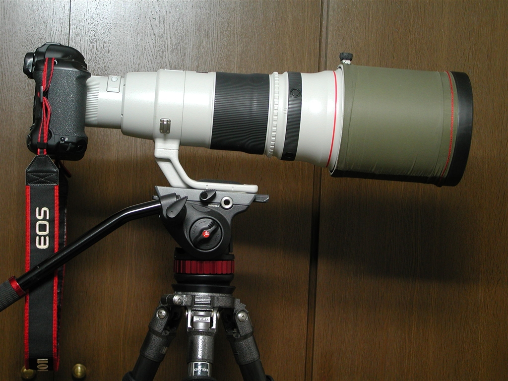 Canon EF500mm F4L IS2 USM