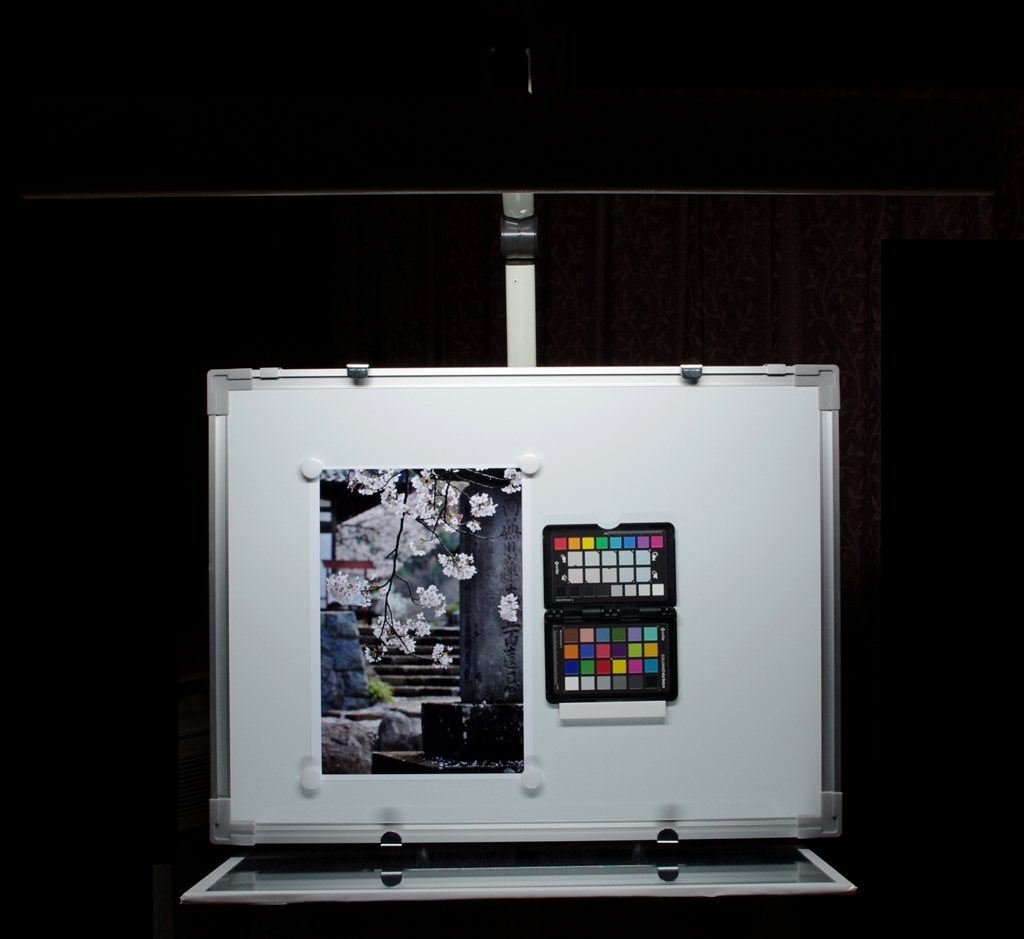 EIZO ColorEdge CX241-CNX3 24インチモニター Eizo ColorEdge CX241 24.1