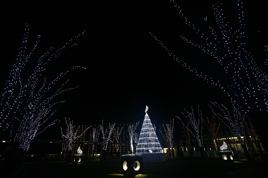  5d tamron sp 17mm f3 5 model 151b lumix dmc gh4