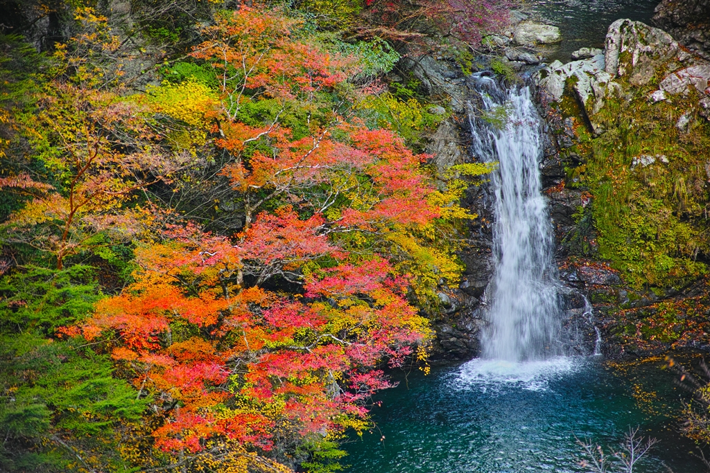 価格.com - 『F3.2の作例』シグマ SIGMA DP3 Merrill 銀モビさん の