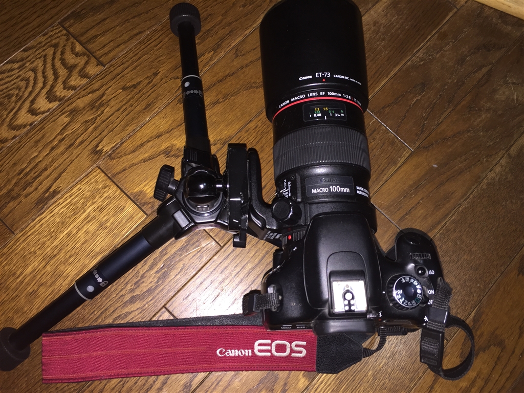 キャノン レンズ EF100mm F2.8L マクロ IS USM+
