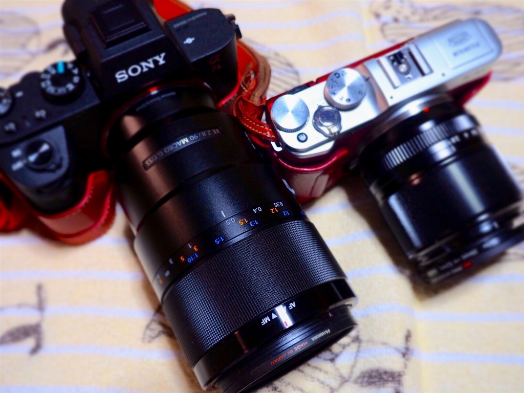 Panasonic LUMIX G85 Features 1