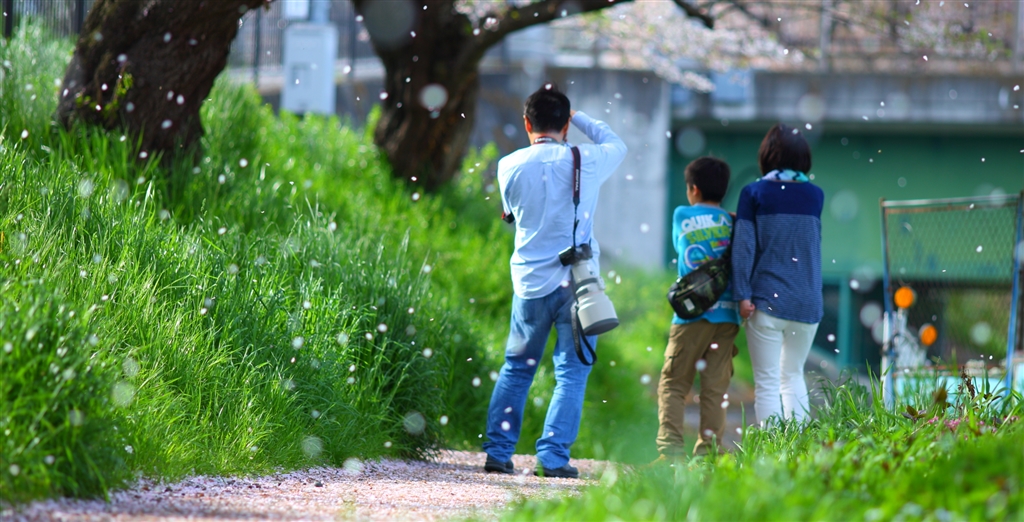 価格 Com 絆 Canon Ef0mm F2 8l Ii Usm 小くじらさん のクチコミ掲示板投稿画像 写真 135lとの比較