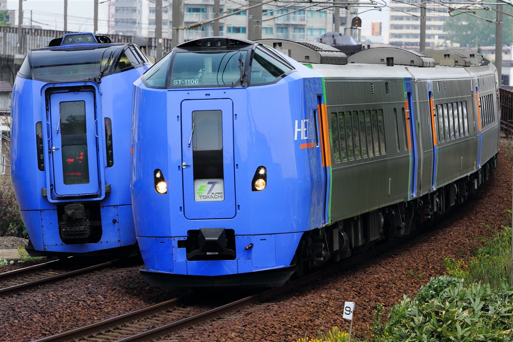 レア❗キハ261系 スーパー宗谷・新ロゴマーク【TN化済】 - 鉄道模型