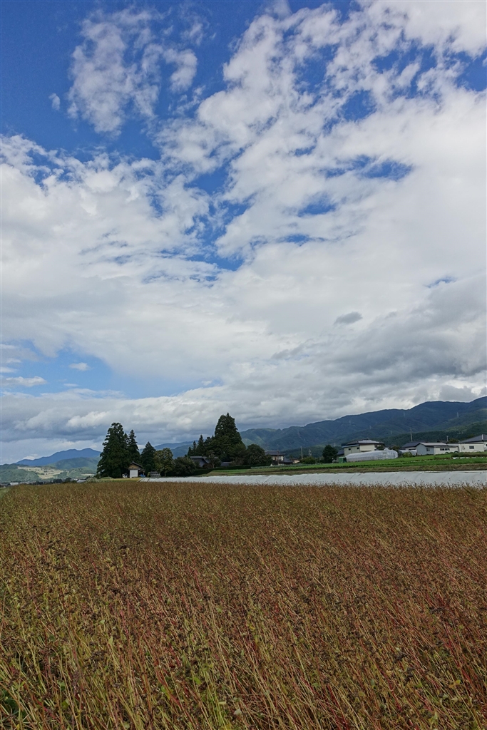 サイバーショット Hdr