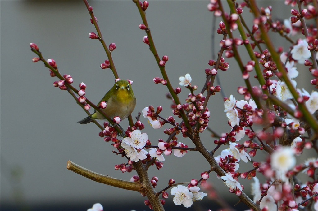 さば太郎様専用】TAMRON 28-200mm F2.8-5.6+adilogluglobal.com.tr