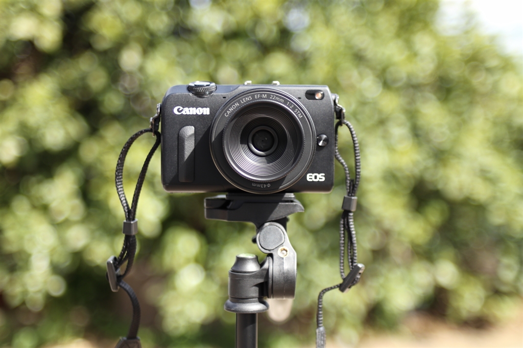  carl zeiss jene flektogon 35mm f2 4 canon eos m6 evf 