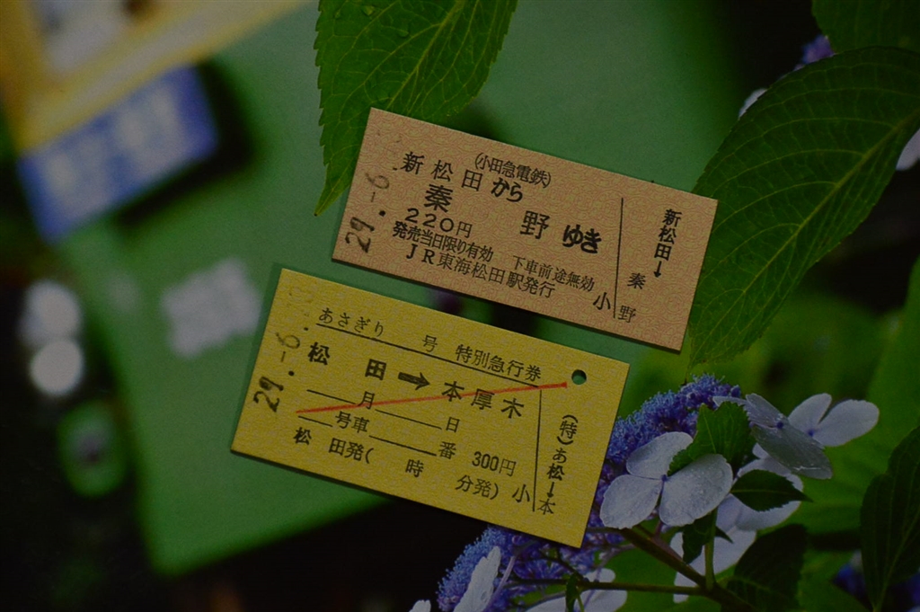価格 Com Jr東海松田駅発行 新松田から ゆき というのは違和感あるね ニコン Df ボディ たのちゃんさん のクチコミ掲示板投稿画像 写真 満開の花たち