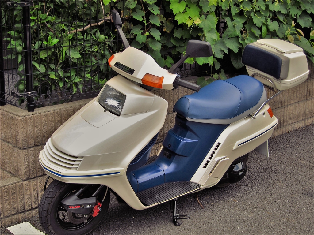 中古軽ニバイク HONDA MF01ホンダ フリーウェイ 250cc - ホンダ