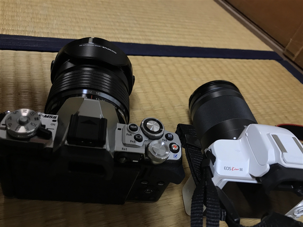 驚きの値段】 eyes-shopOLYMPUS OM-D E-M10 ダブルズームキット