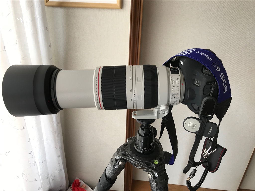 価格.com - 『6DⅡ＋レンズを400㎜にした時』CANON EF100-400mm F4.5-5.6L IS II USM トトロカメラ