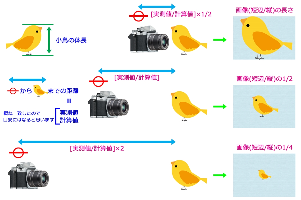 価格.com - 『カメラと小鳥との距離「実測値/計算値」と画像での高さの