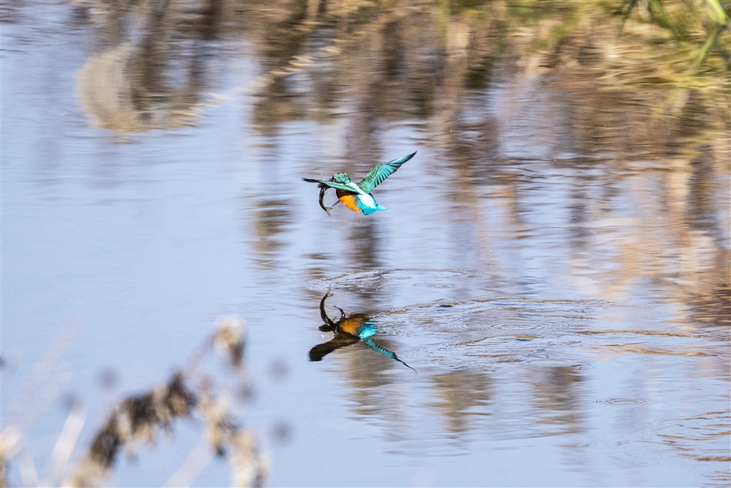 Nikon Coolpix D500 75 Now Nikon Coolpix D500