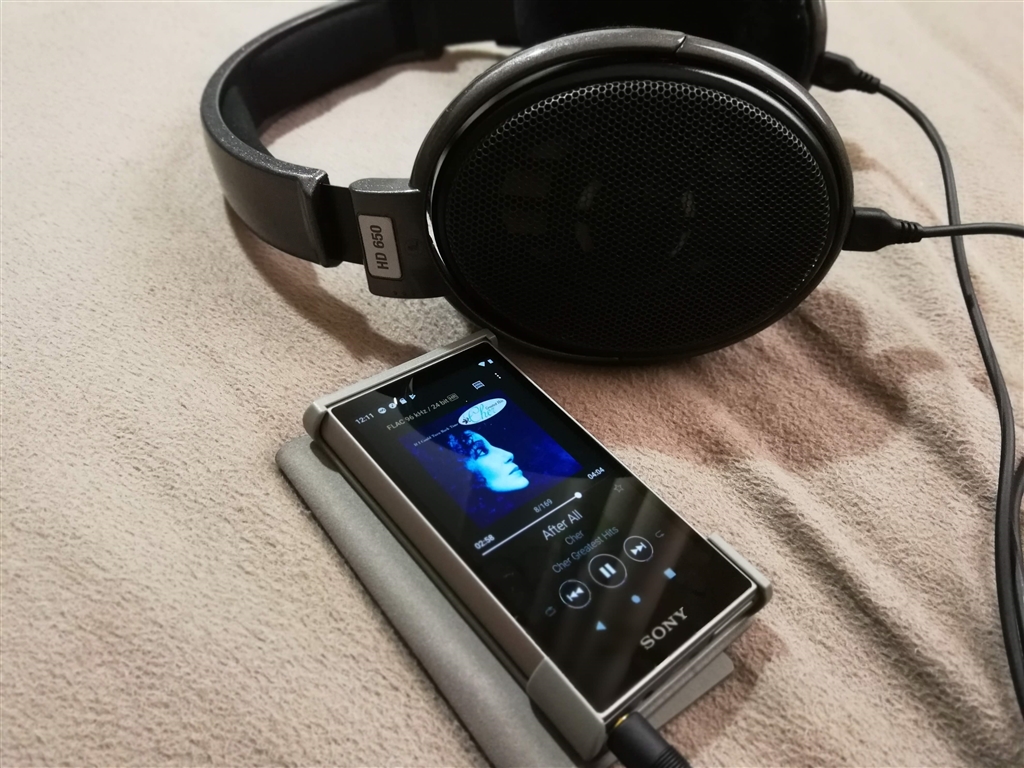 WALKMAN - ヤチマタさん専用 nw-a106 32GB の+forest-century.com.tw