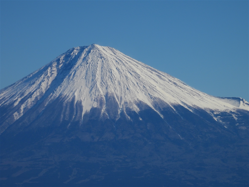 価格.com - 『260mm』ニコン COOLPIX P950 wanizoさん のクチコミ