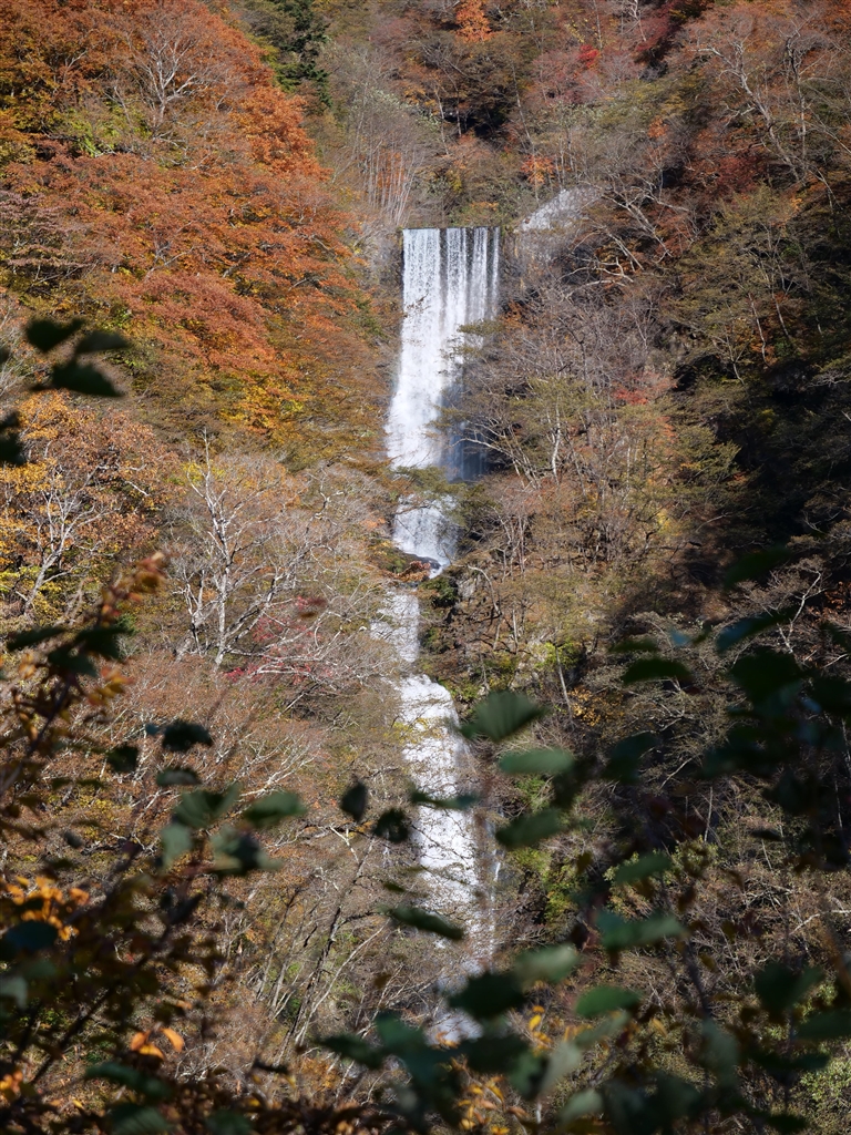 『いろは坂下りで見える滝』  デジタルカメラすべて ranko.de-suさんのクチコミ掲示板画像4/4