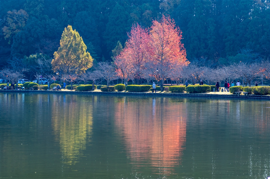 江波山公園