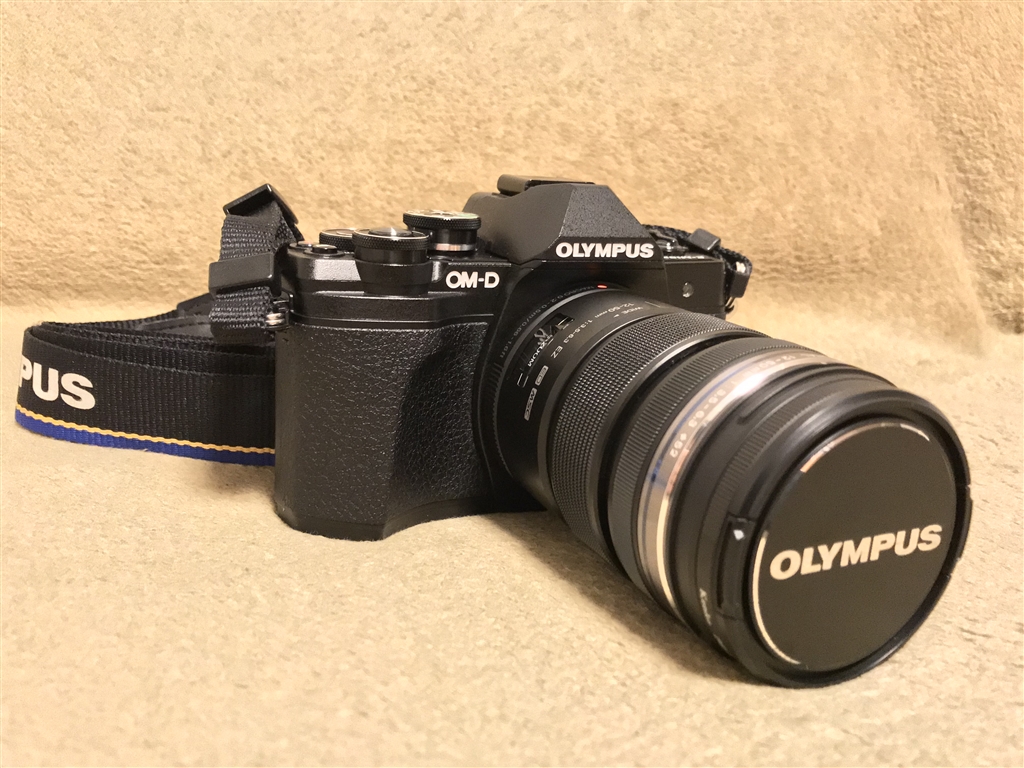 OLYMPUS - オリンパス OM-D E-M10 MarkⅡボディ美品！の+spbgp44.ru