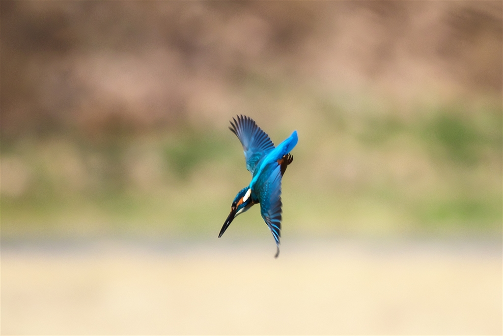 m-zuiko-digital-ed-150-400mm-f4-5-tc1-25x-is-pro