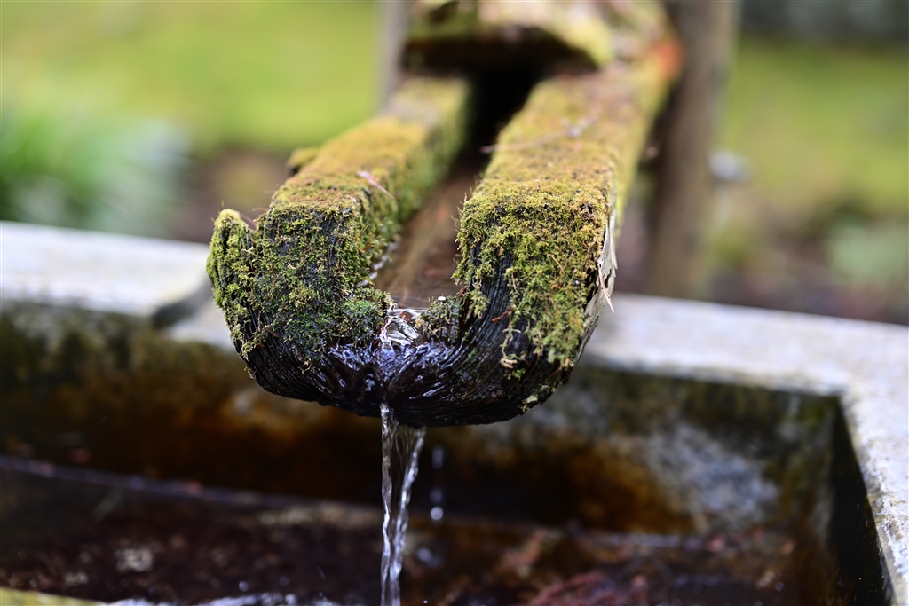 価格 Com ニコン Nikkor Z 50mm F 1 2 S Hukurou爺さん のクチコミ掲示板投稿画像 写真 いいですねー