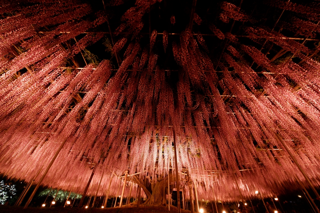 fuji-xa3-sigma-8-16mm-fujifilm-gfx-50r-hhgkf