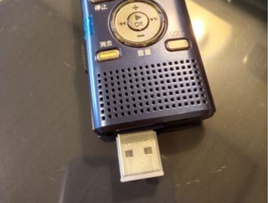 SONY - SONYPCM-A10 + SDカード付き PCM-A10 | ICレコーダー／集音器 | ソニー