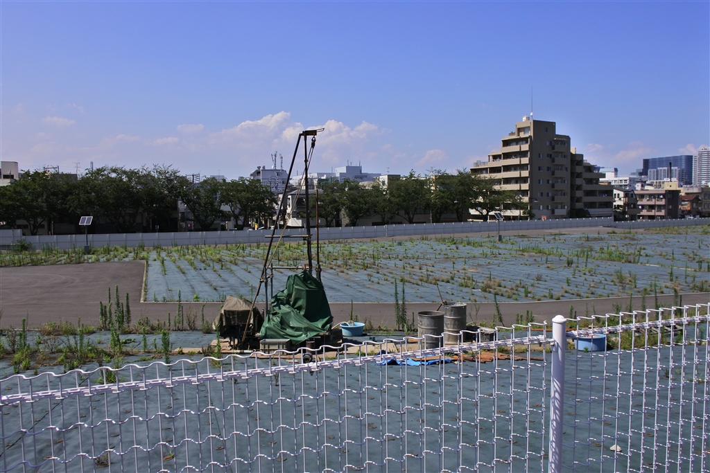デジタル一眼カメラ ニコン 紅萬子さんのクチコミ掲示板投稿画像・写真「Nikon 1 全機種で写真集 No.38