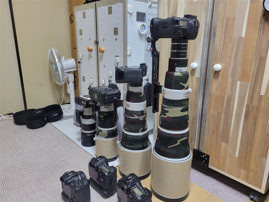 デジカメ　エロ Amazon.co.jp: 最強のエロボディ美少女が極上の天然Hカップを揺らしてカメラの前で狂喜乱舞とか、どんなエロマンガ?/大原メグミ [DVD]  : DVD