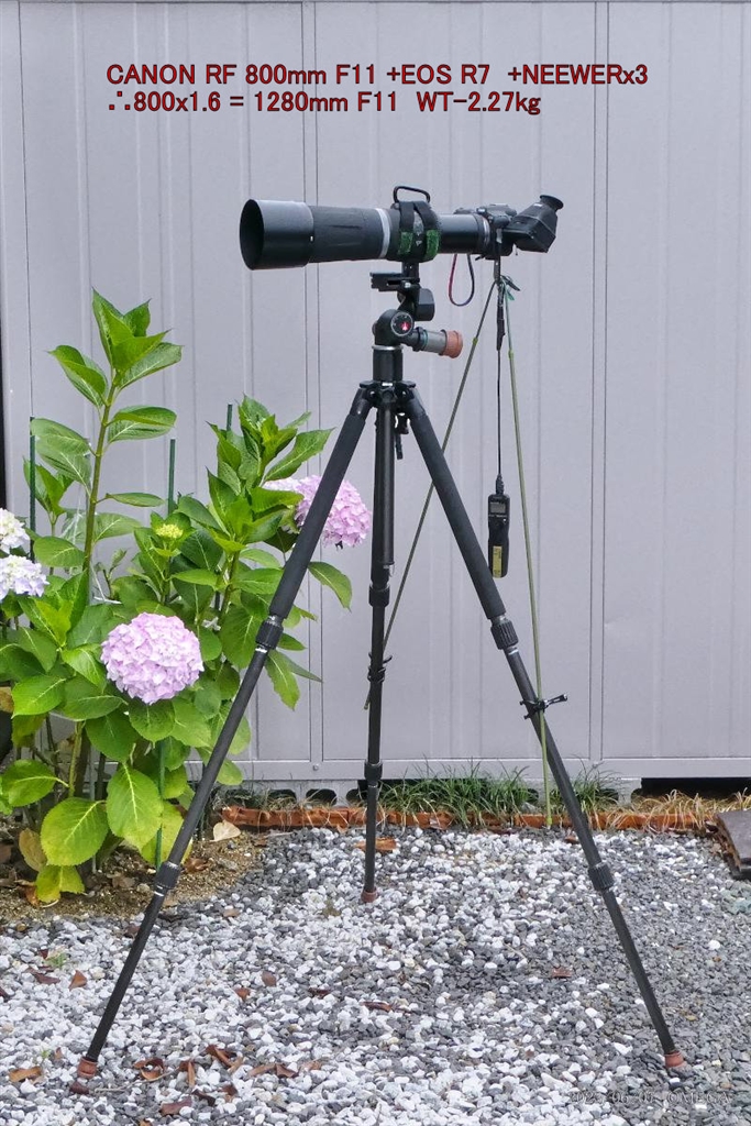 価格.com - 『撮影セット RF800』CANON RF800mm F11 IS STM ekeekeさん