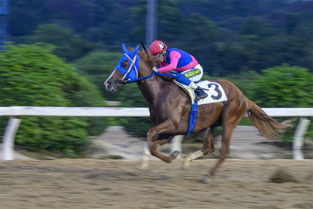 価格.com - 『佐賀競馬若手のホープ』ニコン Z 8 ボディ SHIDOYASUさん