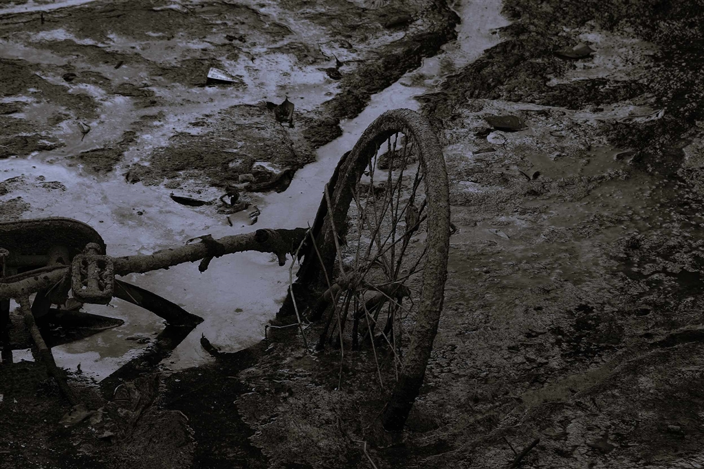 価格.com - 富士フイルム FUJIFILM X-H2 ボディ k_tomvさん のクチコミ