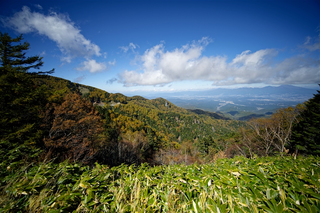 『10/17 大河原峠 標高2092m』 デジタルカメラ hukurou爺さんのクチコミ掲示板投稿画像・写真「小江戸大捜査網