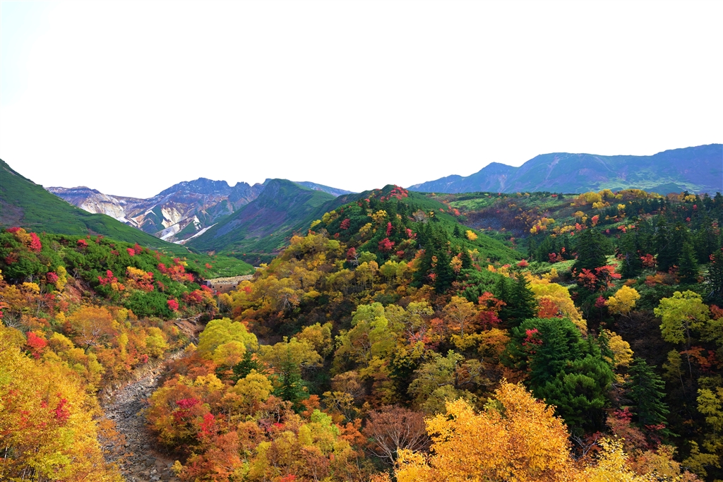 十勝岳 ストア カメラ