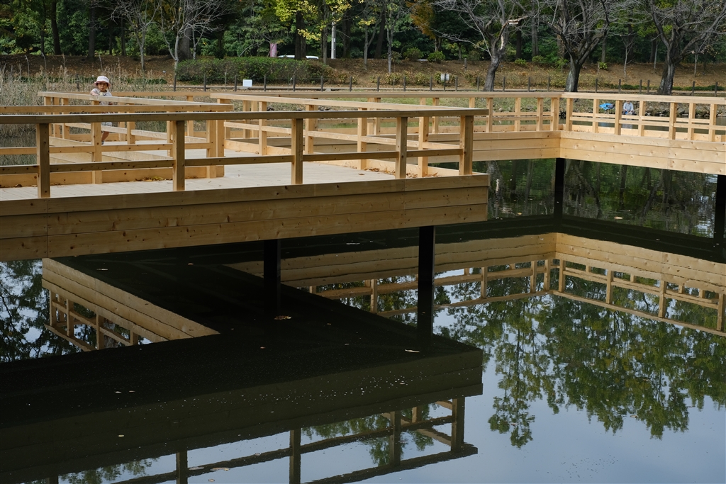 価格.com - 『建替え…魚釣りの多い太田ヶ谷池です。このままで朽ちないで欲しい！』富士フイルム FUJIFILM X-H2 ボディ m2