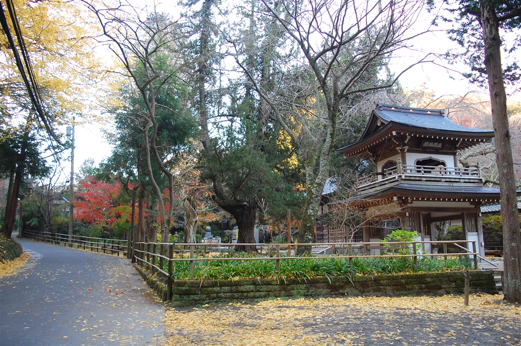『今朝の浄智寺』 デジタルカメラ day40さんのクチコミ掲示板投稿画像・写真「作例募集！ 秋～冬、そして 春！をエチュード