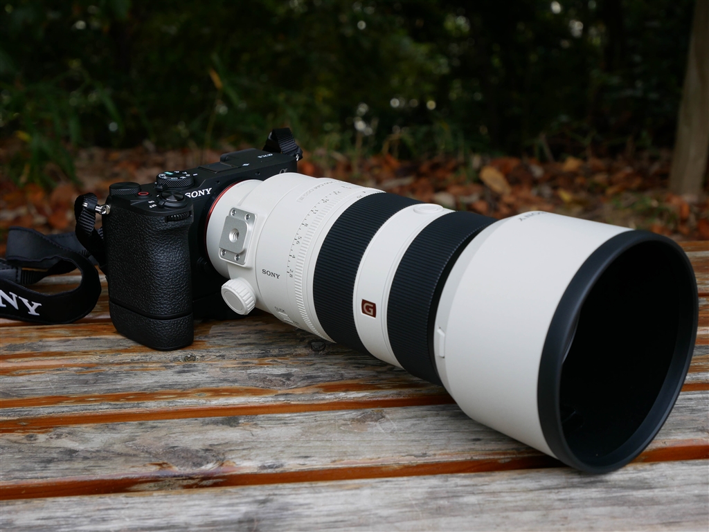 価格.com - 『延長グリップGP-X2装着で、F2.8望遠ズームの使用も快適 
