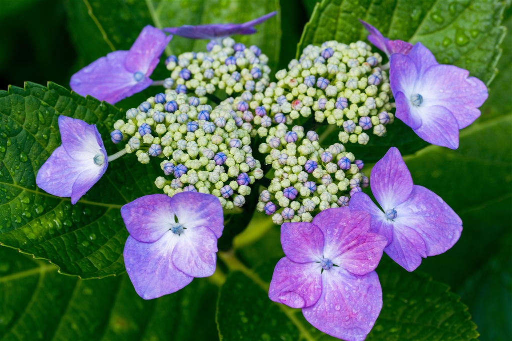 ✨極美品✨ソニー α6400 ボディ❤️ショット数わずか6,584回！ ✨極