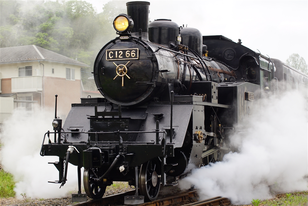 ス*ン様 CANON EOS3 Amazon | Canon EOS-3 ボディ | 一眼レフカメラ 通販