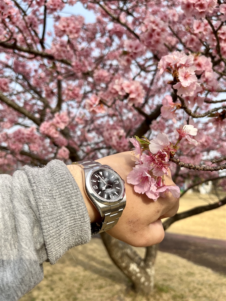 桜ページ 価格.com - 『ピンク色の桜とロレックス エクスプローラー1