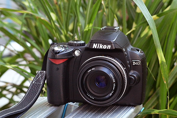 価格.com - 『ススキが似合う D40 です。』ニコン D40 ボディ