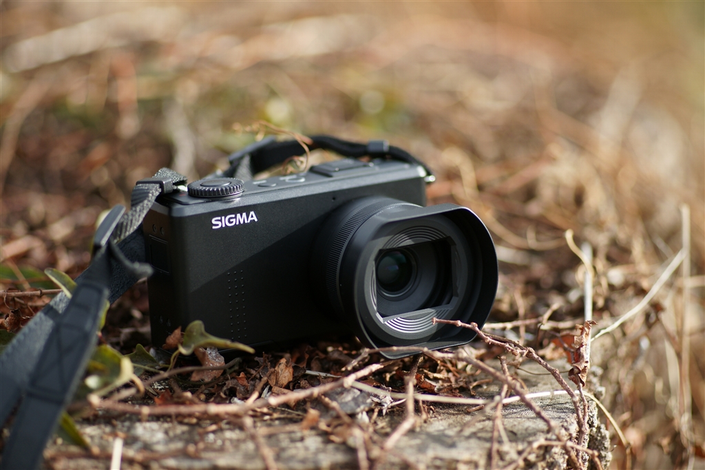 価格.com - 『DP1_Merrillをα900で』シグマ SIGMA DP2 Merrill RC丸