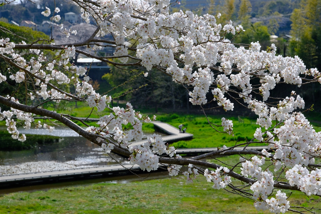 価格.com - 『カメラ内RAW現像 Velvia X-H2S トリミング』富士フイルム