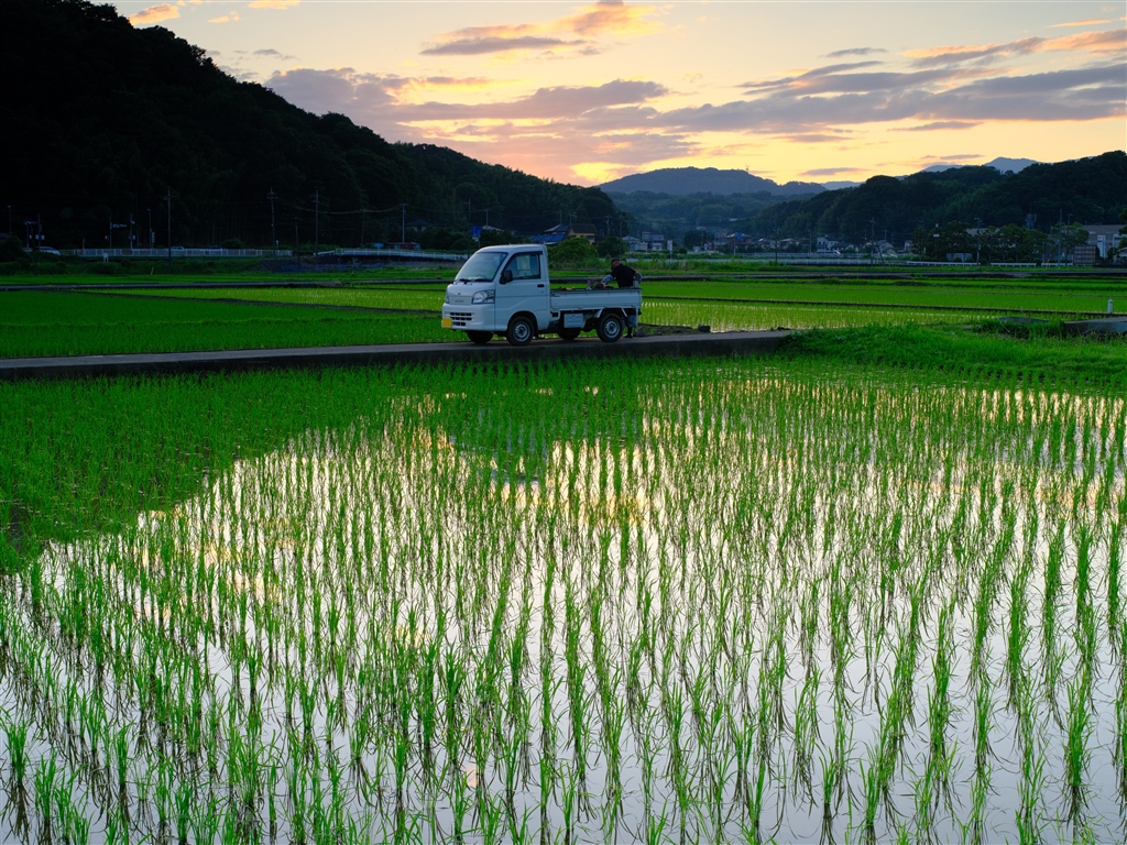 価格.com - 『Jpeg Velvia GFX 50sⅡ SMC Pentax 67 1:4 55mm 絞り F