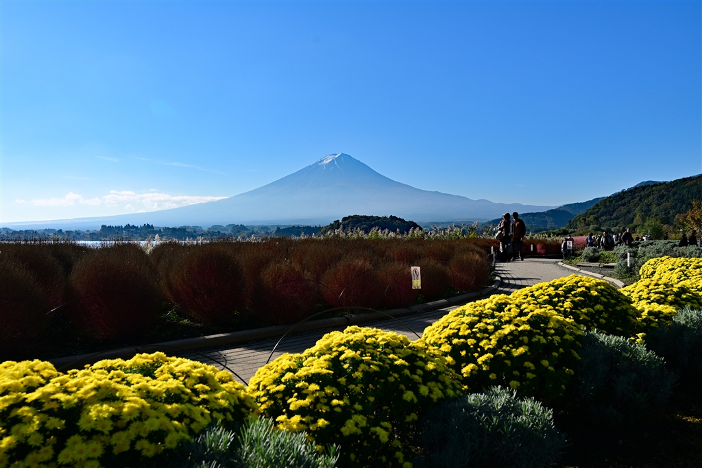 価格.com - 『Nikon Z8』ニコン ZR ボディ shuu2さん のクチコミ掲示板